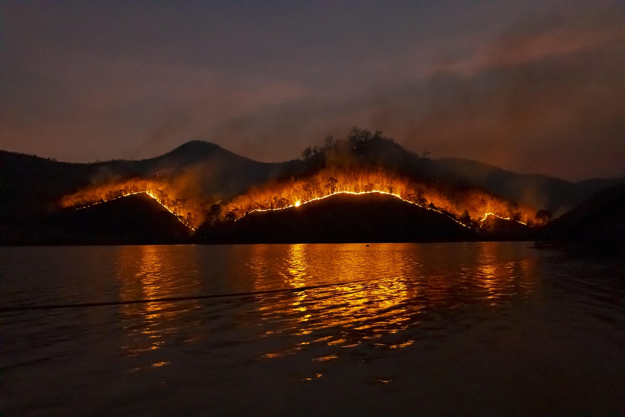 wildfire, bushfire, fire, nature, forest, emergency