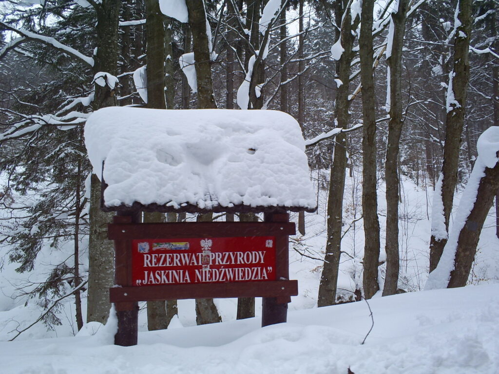 Jaskinia Niedźwiedzia z psem