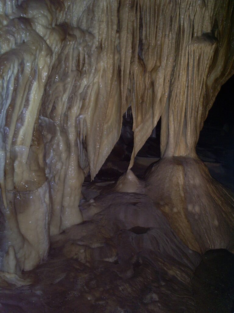 Jaskinia Niedźwiedzia zdjęcia